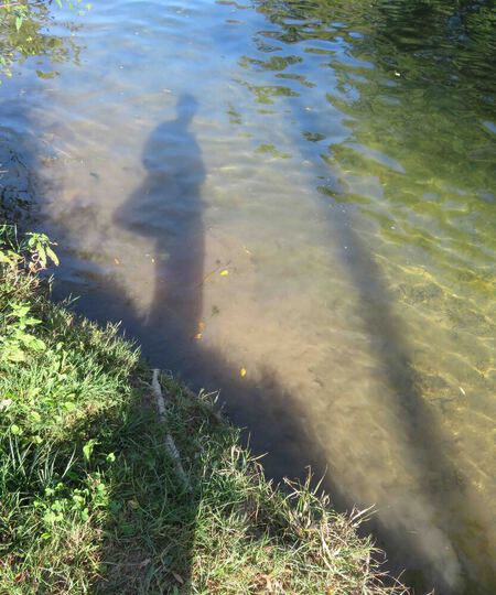 An Pra - O capitaine mon capitaine