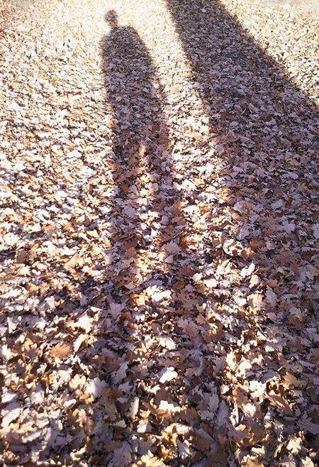 An Pra - Ce en quoi je cro&icirc;s