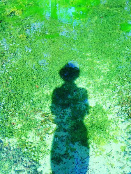 An Pra - La Dame de Courances