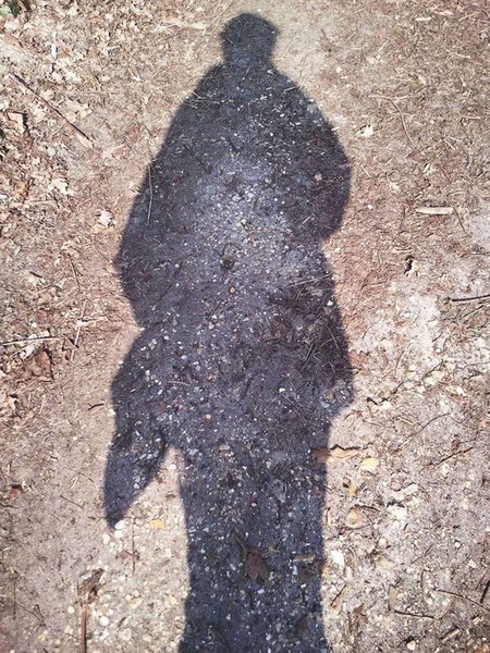 An Pra - Le Gilles aux &eacute;toiles