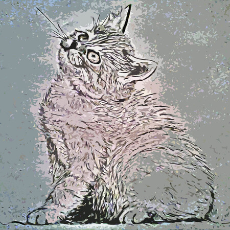 An Pra - Monsieur Lino