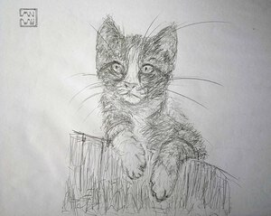 Ptit Léo - mine graphite sur canson blanc